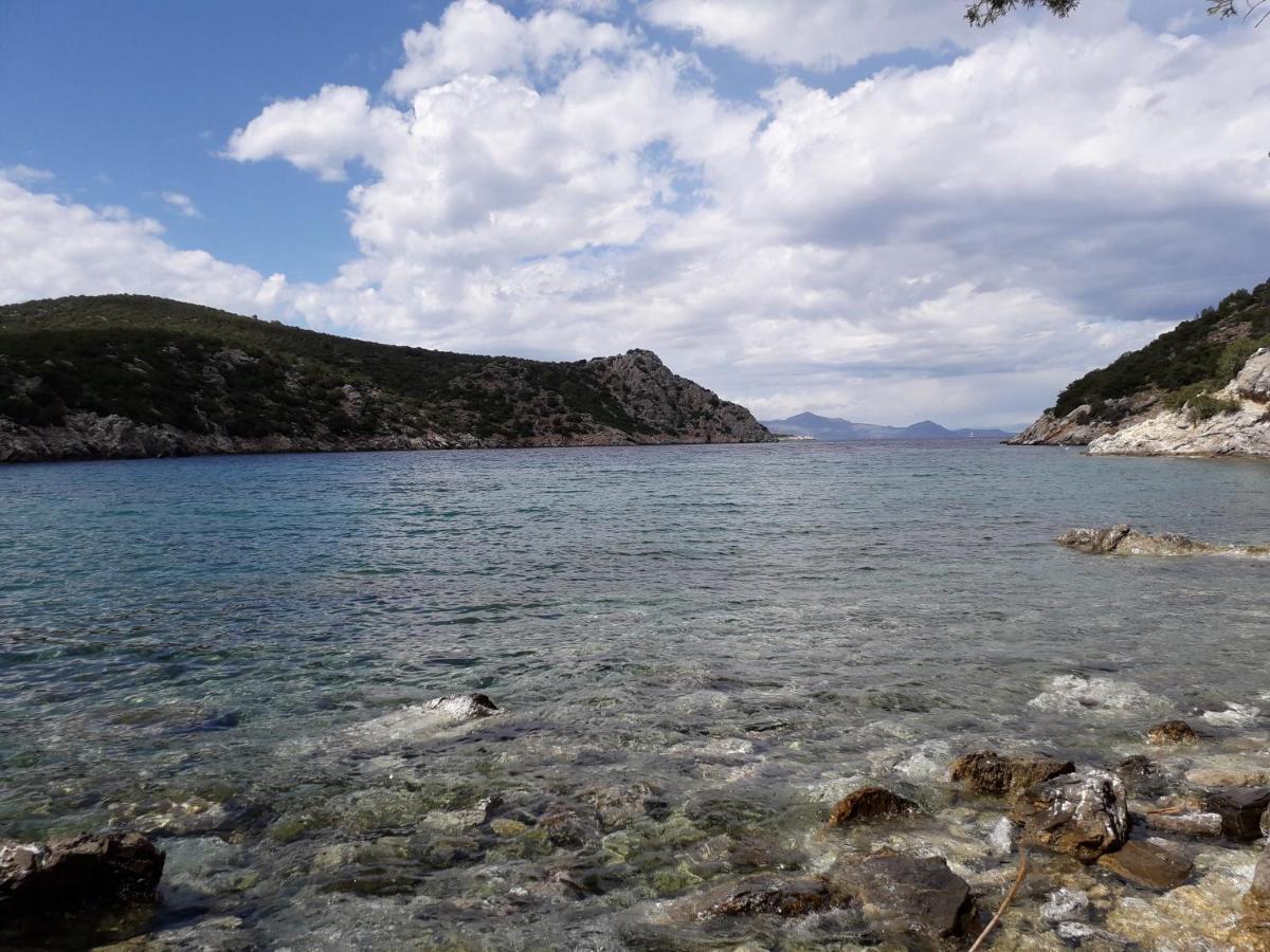 Forest & Sea Apartment Poros Town Exteriér fotografie
